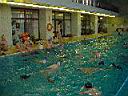 Dsc02054.jpg