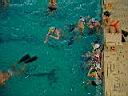 Dsc02063.jpg
