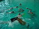Dsc02164.jpg